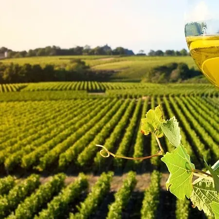 La Du Pressoir, Classe 3 Etoiles Meuble De Tourisme 아파트 *